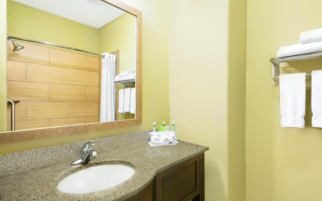 Holiday Inn Express Hotel & Suites Monahans - I-20, an IHG Hotel