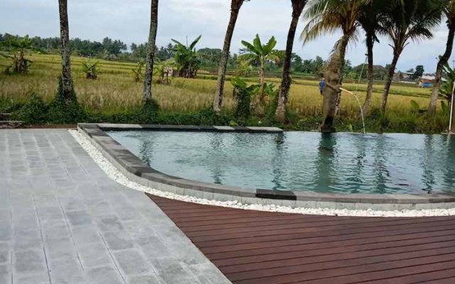 Mas Village Resort
