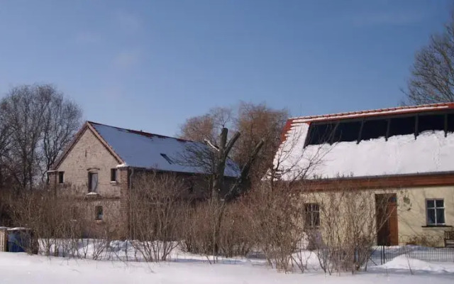 Vogelgesang