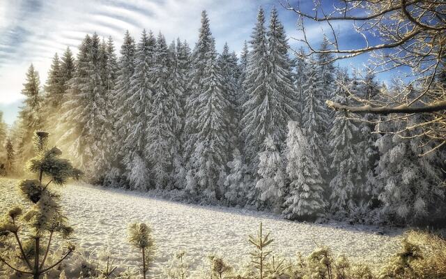 Ekologiska Fru Gran i Tiveden