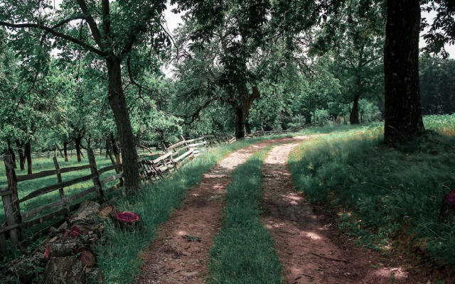 Doppelhaushalfte, Zingst