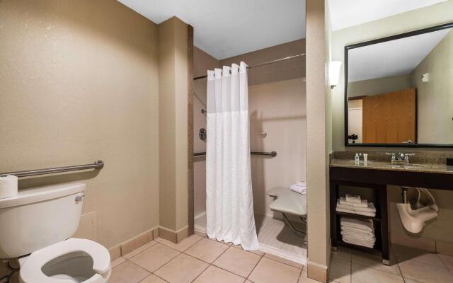 Comfort Suites Tampa Airport North