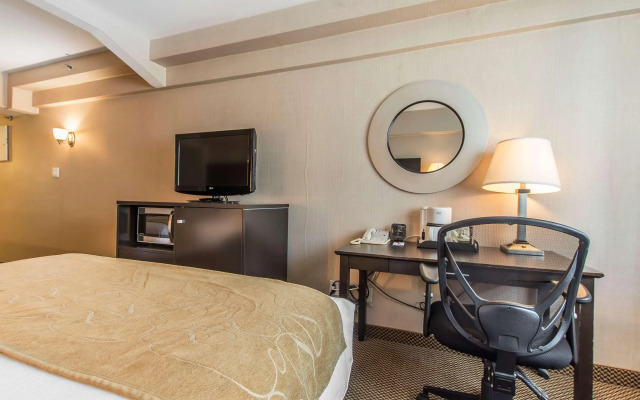 Comfort Suites Downtown