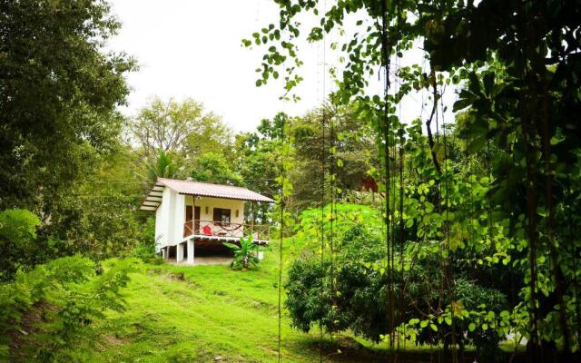 Istmo Beach and Jungle Bungalows