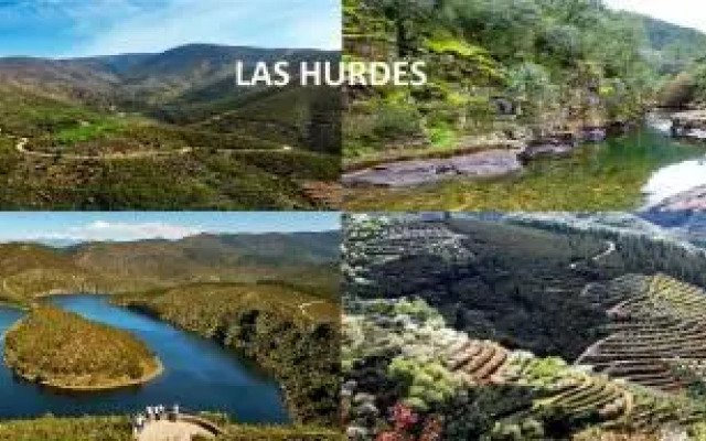 Apartamentos Capuchinas