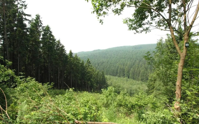 Apartment in Ondenval Near Malmedy