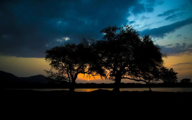 Yala Edge Camping