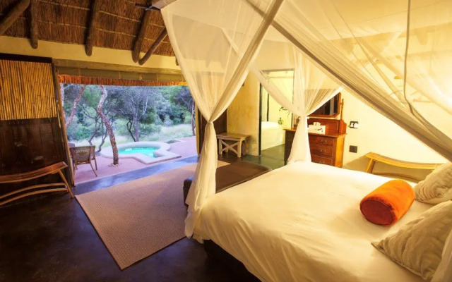 The Safari Lodge