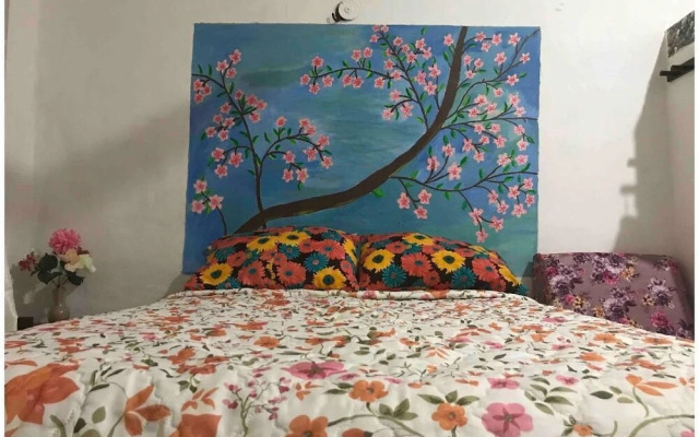 La Casa del Árbol Cancun