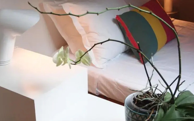Sky Parlor Studio Apartment