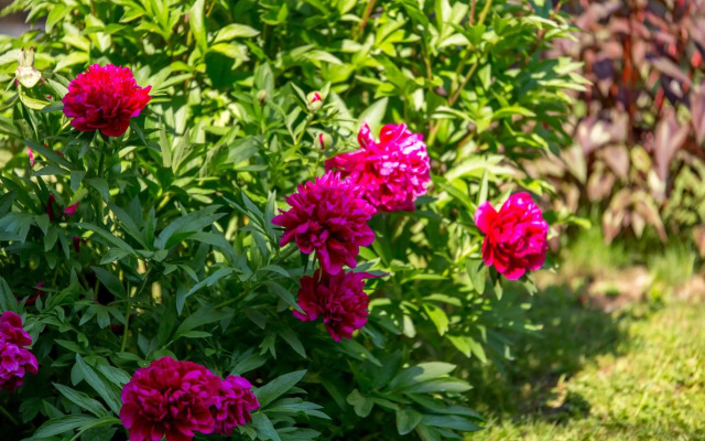 Riki'S Apartment-Zagreb