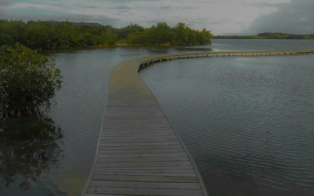 Holidays in Martinique - Ravenala