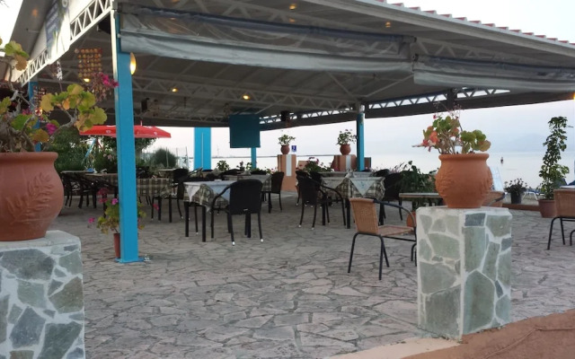 Nikolas Club