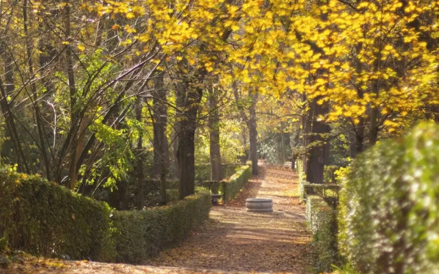 Exclusive Apartment Nestled in the Vibrant Neighborhood of Neptuno