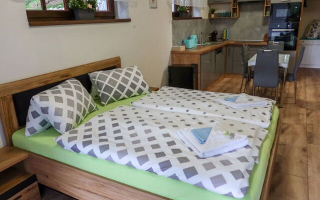 Apartment  Harrachov