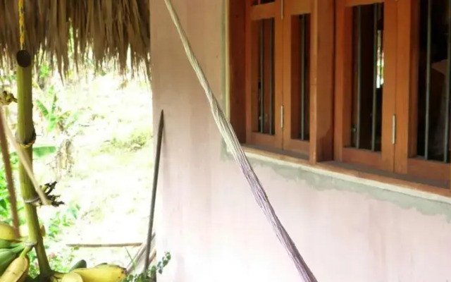 Zamukia