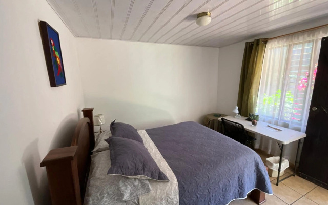 La Casa de Mamá Coyita