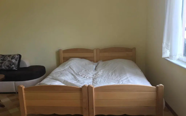 Kotej v tsentre Dilidzhana