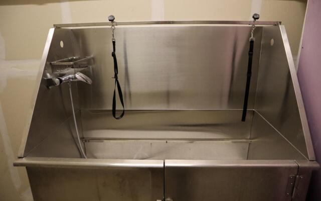 Spacious Private and Elegant Downtown Location