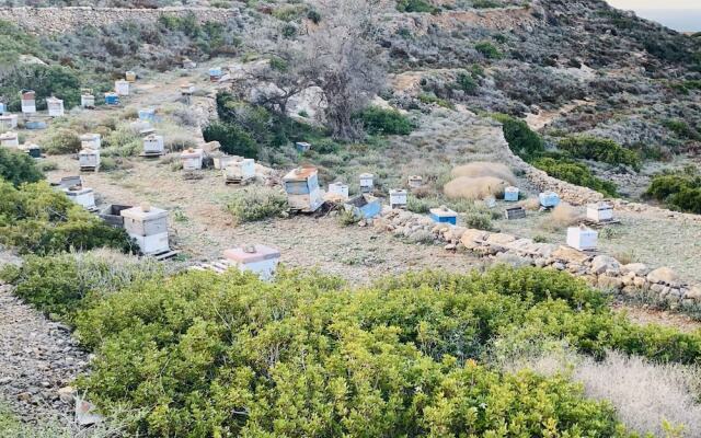 Theoxenia Suites & Apartments