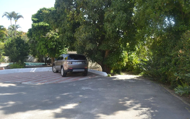 Cycad Lodge