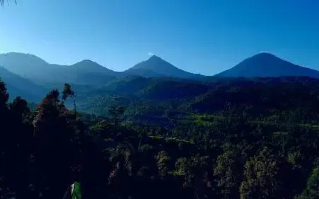 Munduk Don Biyu