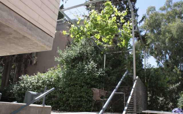 Beit Ben Yehuda
