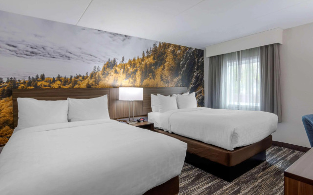 Comfort Inn University