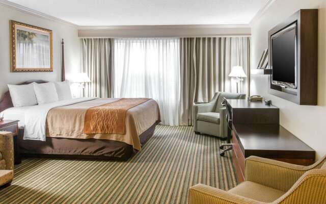 Comfort Inn Plainwell