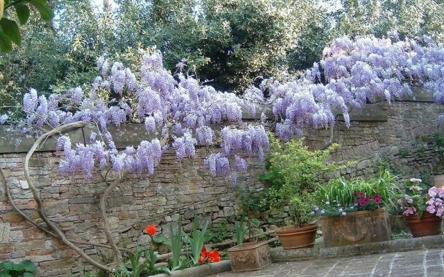 Bed and Breakfast Borgo Ponte dell'Asse