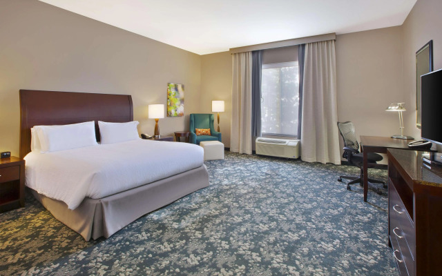 Hilton Garden Inn Detroit/Novi