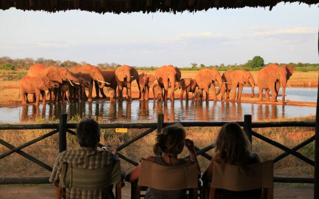 Voi Wildlife Lodge