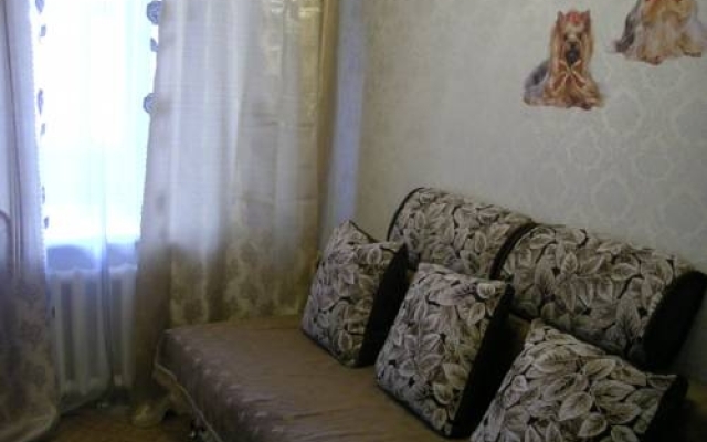 Cozy Apartment in the Quiet Center of Novosibirsk