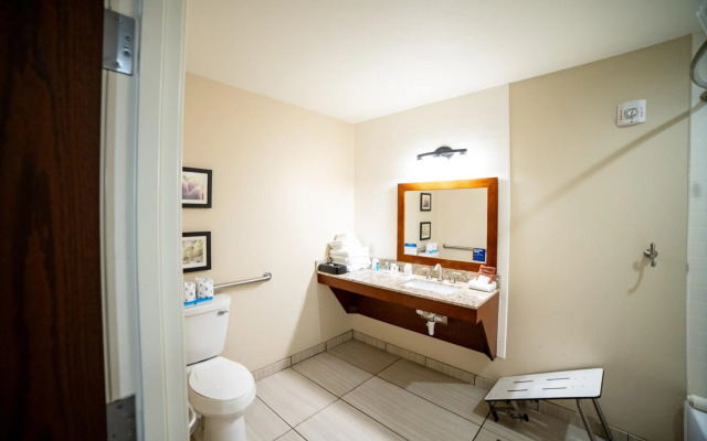 Comfort Suites University