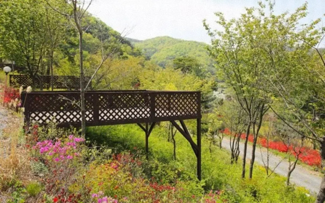 Chengyang Goun Healing Glamping
