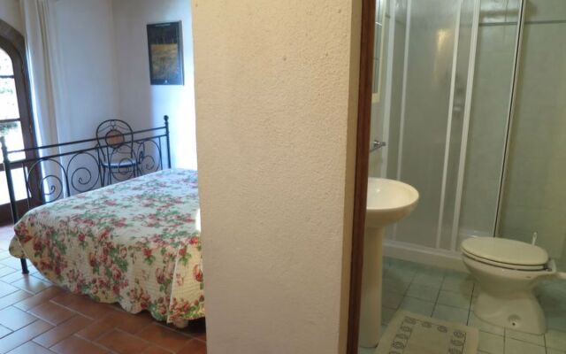 House Ulivo Montescudaio