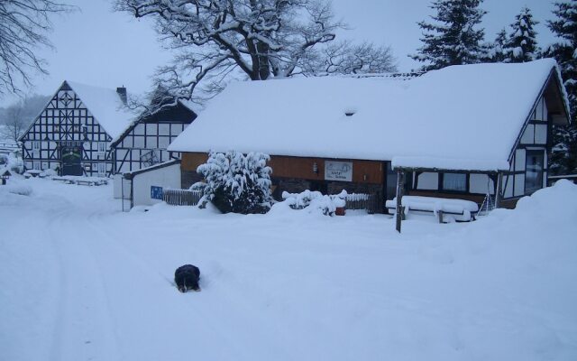 Alluring Holiday Home in Vellinghausen With Pool