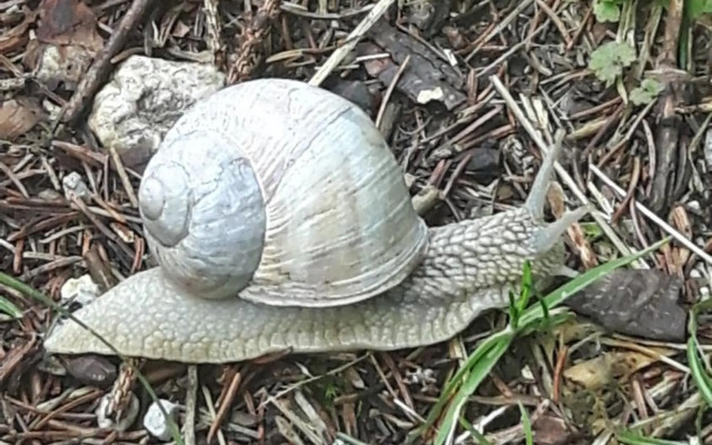 Ferienwohnungen Regina Unger