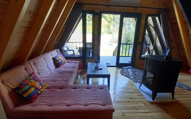Cozy Bungalow With Private Pool Surrounded by Nature in Sapanca