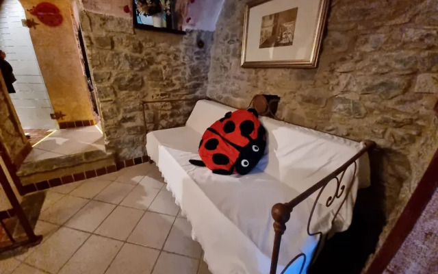 Coccinelle