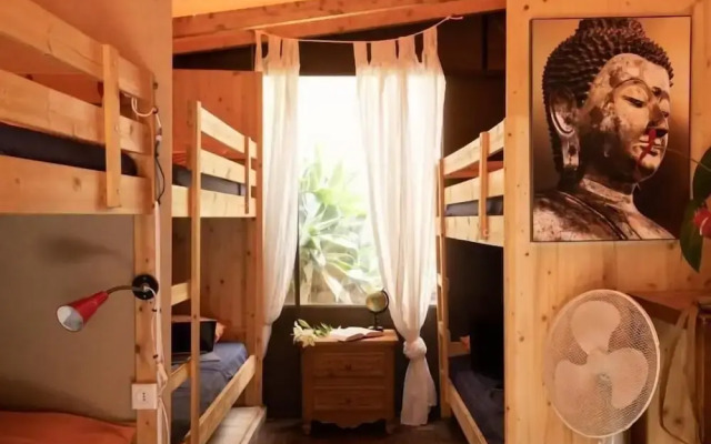 Los Amigos Nest Hostel