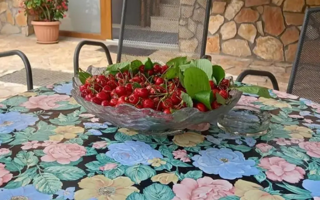 Villa Vinka
