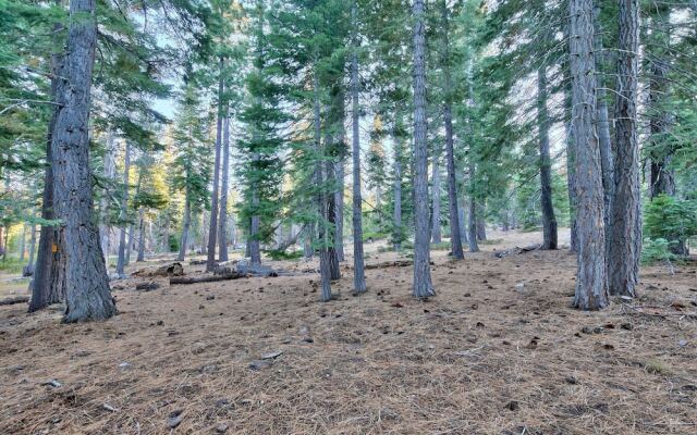 The Snowshoe Inn  592ss 4 Bedroom Cabin