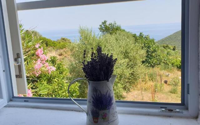 Apartment 4M Cunski