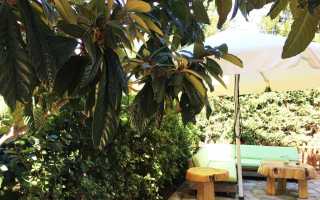 Anixi apartment