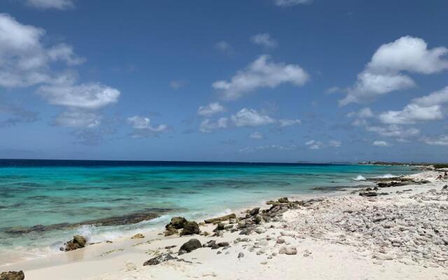 Salt Apartments Bonaire