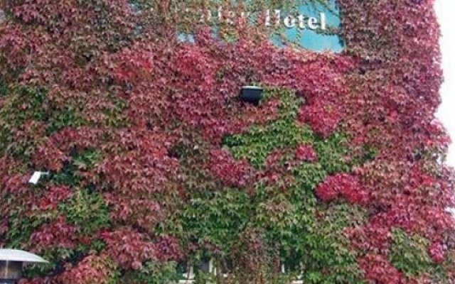 The Cranley Hotel