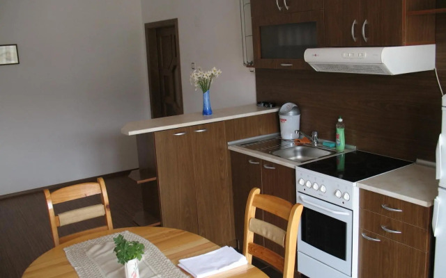 Apartment Planinski Rai