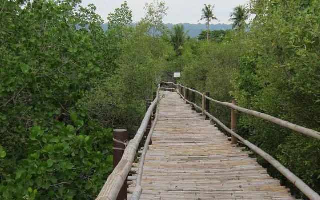 Eskapo Verde Hostel