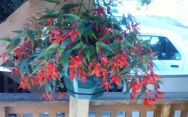 Hôtel Restaurant La Croix Jean Claude